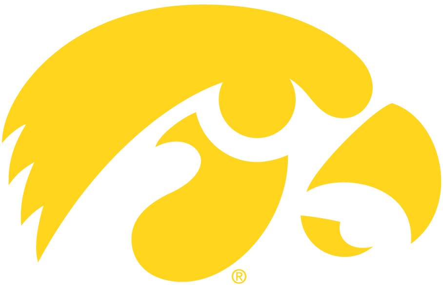 Iowa Hawkeyes 1979-Pres Alternate Logo v2 iron on heat transfers